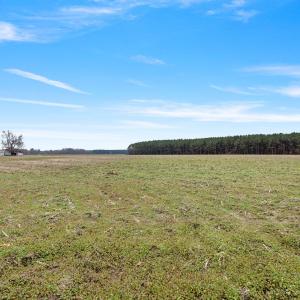 40-web-or-mls-P1331265