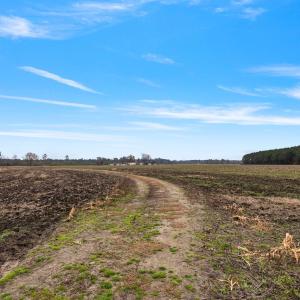 41-web-or-mls-P1331305