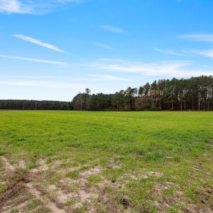 42-web-or-mls-P1331315