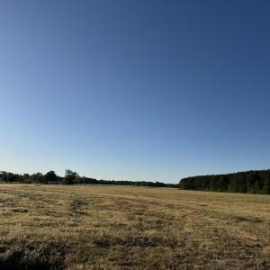 IMG_1546