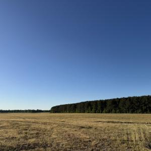 IMG_1547