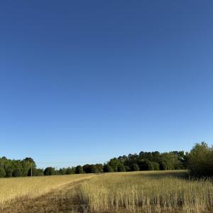 IMG_1550