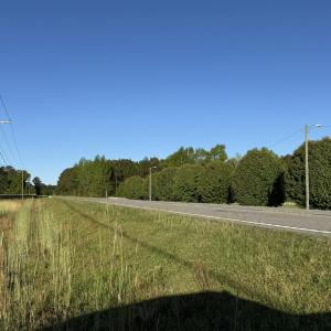 IMG_1552