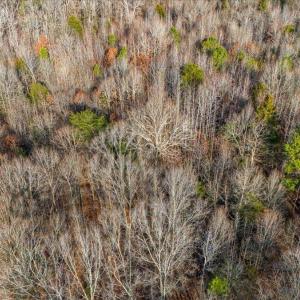 10-Edith 485 Lee Emerson Rd-8