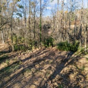 14-web-or-mls-DJI_20251124145916_0051_D