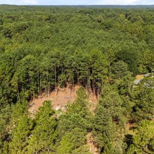 3-web-or-mls-DJI_20250721094815_0201_D