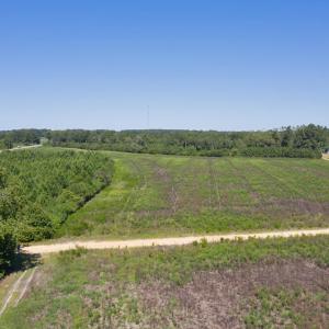DJI_0561