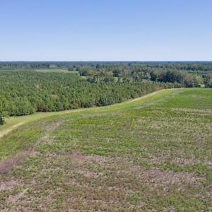 DJI_0562
