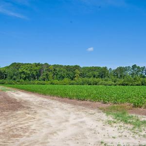 Photo #29 of 1 Nc Highway 33, Tarboro, NC 278.8 acres