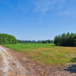 Photo #4 of 1 Nc Highway 33, Tarboro, NC 278.8 acres
