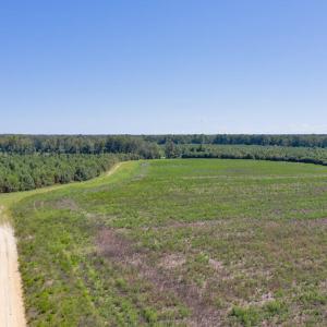 DJI_0588