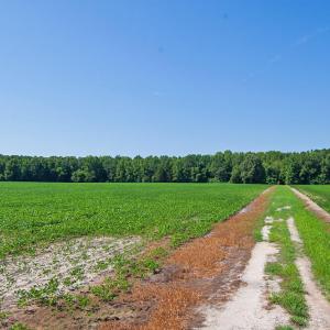 Photo #2 of 2 Nc Highway 33, Tarboro, NC 404.3 acres