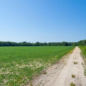 Photo #13 of 2 Nc Highway 33, Tarboro, NC 404.3 acres