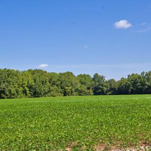 Photo #4 of 2 Nc Highway 33, Tarboro, NC 404.3 acres