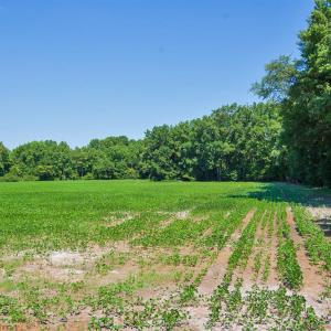 Photo #20 of 2 Nc Highway 33, Tarboro, NC 404.3 acres