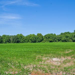 Photo #35 of 2 Nc Highway 33, Tarboro, NC 404.3 acres