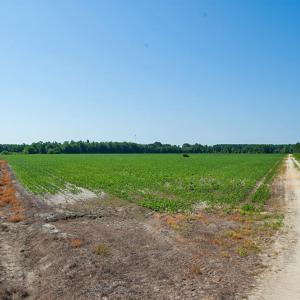 Photo #37 of 2 Nc Highway 33, Tarboro, NC 404.3 acres