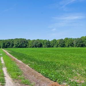 Photo #7 of 2 Nc Highway 33, Tarboro, NC 404.3 acres