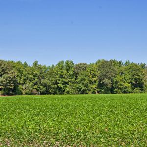 Photo #18 of 2 Nc Highway 33, Tarboro, NC 404.3 acres
