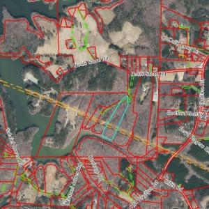 10.75 ACRES NEALS STORE RD