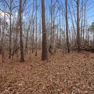 WOODED