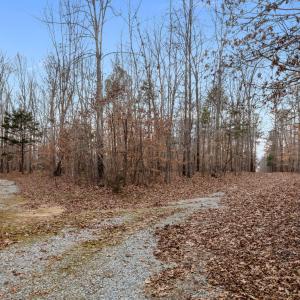 ACCESS DRIVEWAY