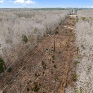 ELECTRIC EASEMENT