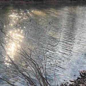 LAKE ACCESS