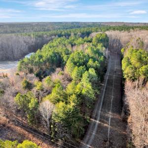 11-DJI_20260113085554_0202_D