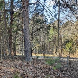 PXL_20260107_180246369~2