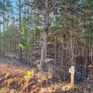 15-DJI_20260113085742_0227_D