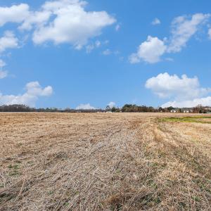025_file_352
