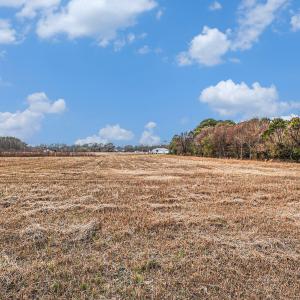 018_file_526
