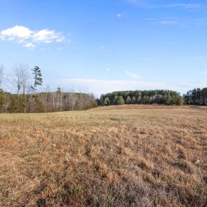 12-web-or-mls-P1100612