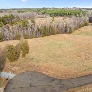 7-web-or-mls-DJI_0940