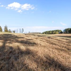 10-web-or-mls-P1100615