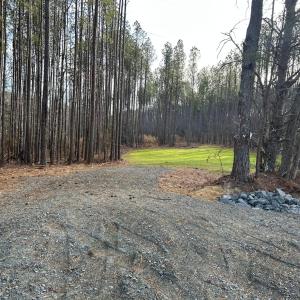 Satterfield Lot 8