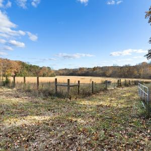 Gate Lot 2 River Run