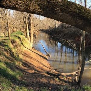 CaneCreekWinter 6055RiverRun