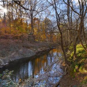 CaneCreekMainImage 6055RiverRun