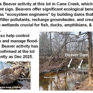 BeaverDam 6061RiverRun