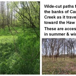 PathsAlongCreek 6061RiverRun