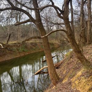 CaneCreekWesternView 6061RiverRun