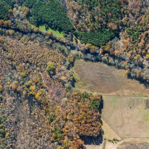 AerialOverheadView RiverRun