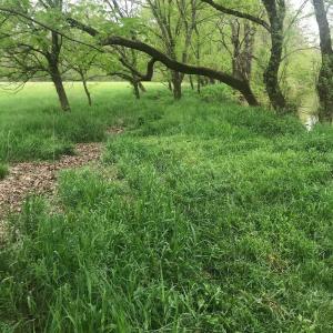 NearCaneCreek 6061RiverRun