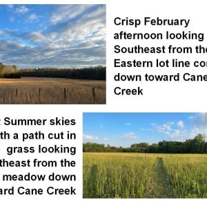 BlueskiesoverMeadows 6061RiverRun