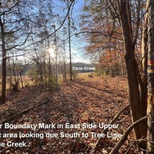 EdgeOfNorthMidForestBoundaryLine 6061Riv