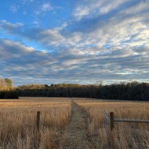 MowedPathBottomGateFall 6061RiverRun
