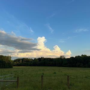 SummerSEasternView 6061RiverRun