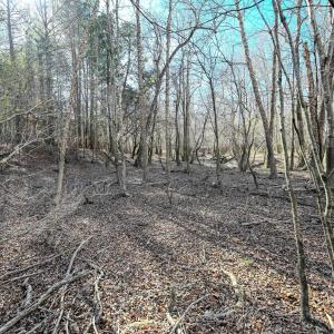 2729 Mcneill Hobbs Ground Photos-2